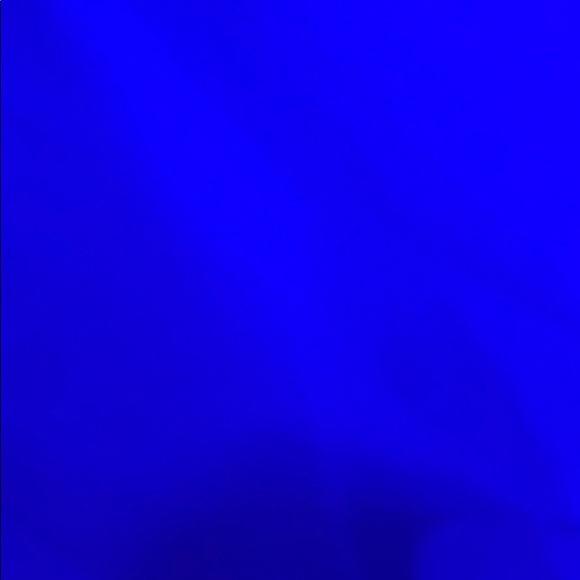 Meet your Posher, Gigi - Picture 1 of 1